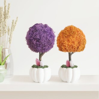 �𽺺� ��ĭ��Ƹ� ����� ȭ��